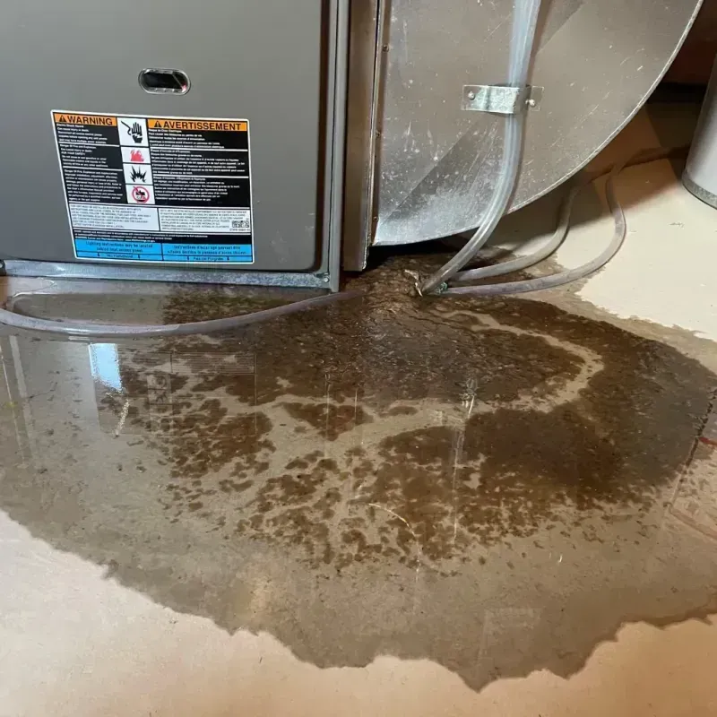 Appliance Leak Cleanup in Lincoln, MT